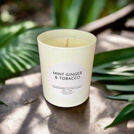 Medium Mint Ginger Tobacco cotton wick candle